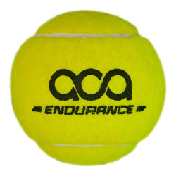 ENDURENCE FAST