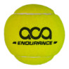 ENDURENCE FAST